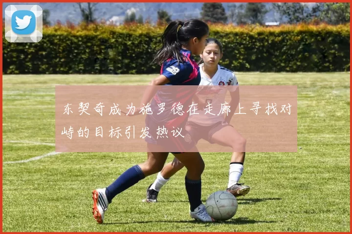 东契奇成为施罗德在走廊上寻找对峙的目标引发热议